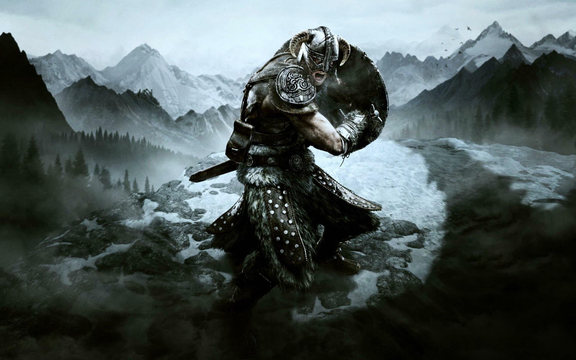 The Elder Scrolls V: Skyrim Special Edition Poster