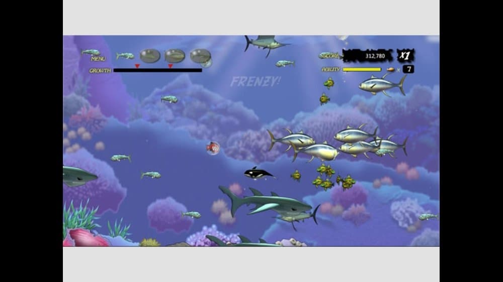 Feeding Frenzy Poster