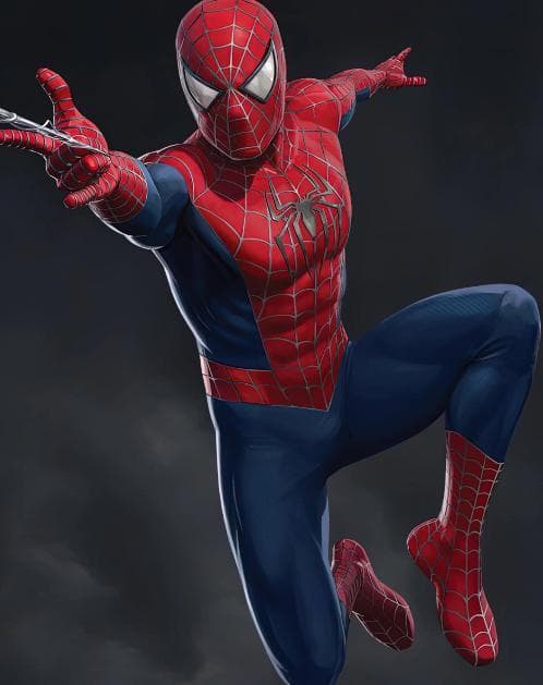 SPIDER MAN Poster