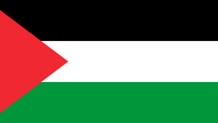 Palestinian Flag